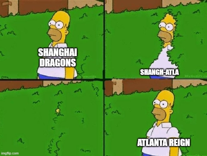 HOMER BUSH | SHANGHAI DRAGONS; SHANGH-ATLA; ATLANTA REIGN | image tagged in homer bush | made w/ Imgflip meme maker