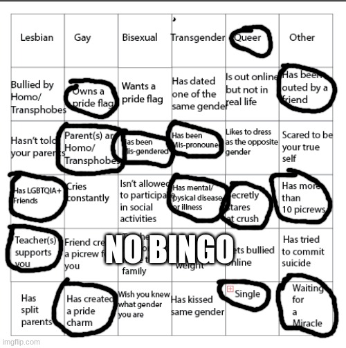 LGBTQIA+ Bingo!! | NO BINGO | image tagged in lgbtqia bingo | made w/ Imgflip meme maker