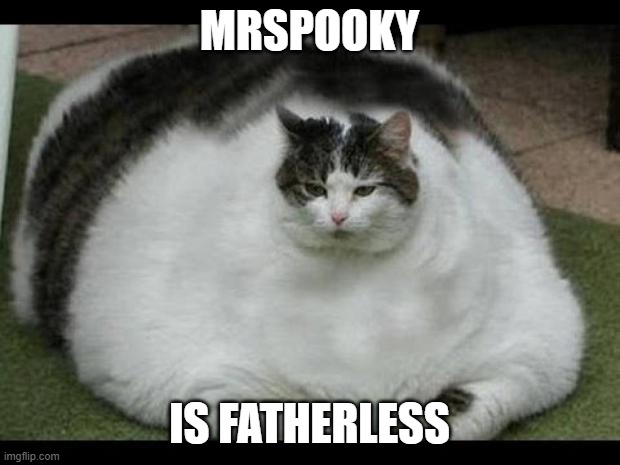 MrSpooky body reveal | MRSPOOKY; IS FATHERLESS | image tagged in fat cat 2 | made w/ Imgflip meme maker