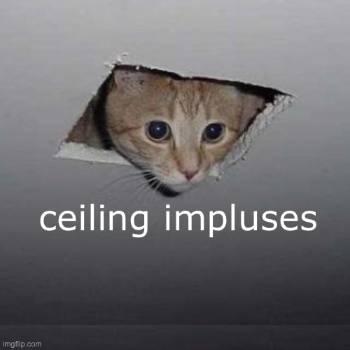 ceiling | ceiling impluses | image tagged in memes,ceiling cat,impluses | made w/ Imgflip meme maker