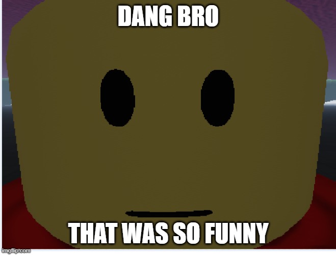 so funny bro | DANG BRO; THAT WAS SO FUNNY | image tagged in funny memes | made w/ Imgflip meme maker