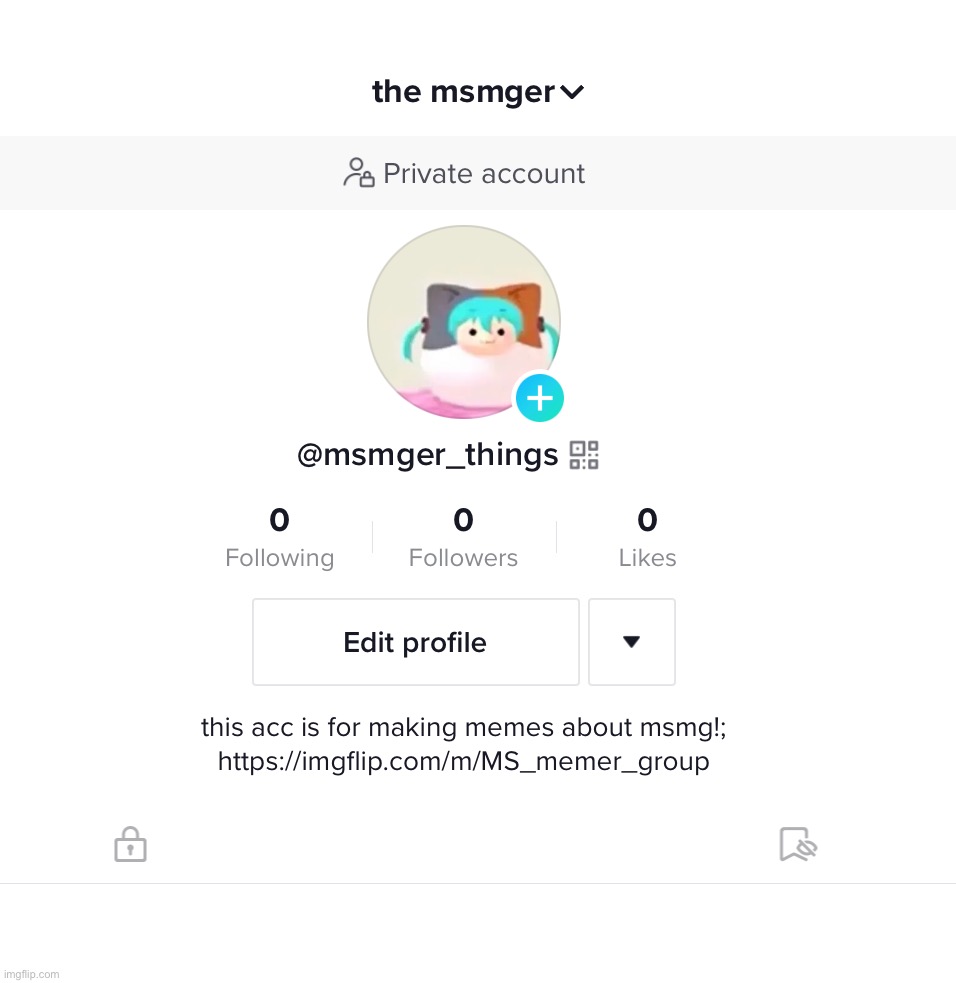 i made a tiktok account for msmg, its about things that happed here basically | made w/ Imgflip meme maker