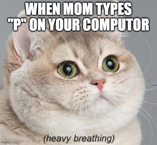 when mom types "p" on my computer | WHEN MOM TYPES "P" ON YOUR COMPUTOR | image tagged in memes,heavy breathing cat | made w/ Imgflip meme maker