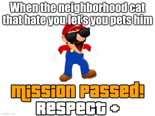 LETS GOOOO | When the neighborhood cat that hate you let’s you pets him | image tagged in cats,mario,respect plus | made w/ Imgflip meme maker