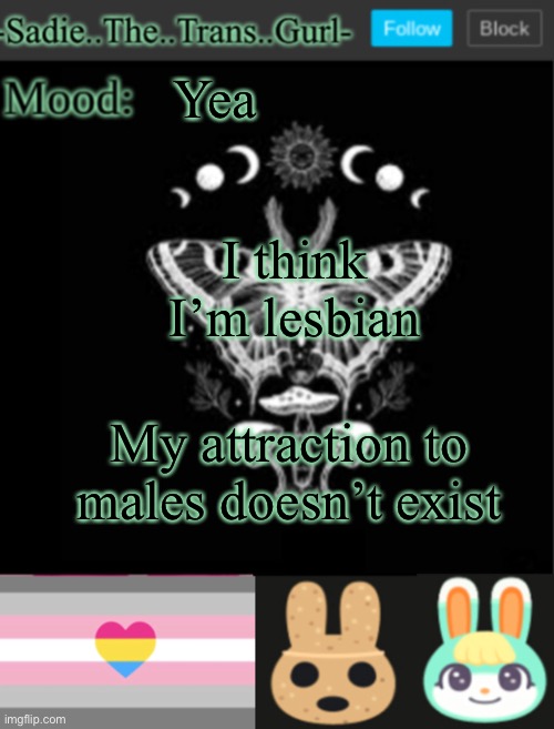 I’m back now | Yea; I think I’m lesbian; My attraction to males doesn’t exist | image tagged in sadiesannouncement temp | made w/ Imgflip meme maker