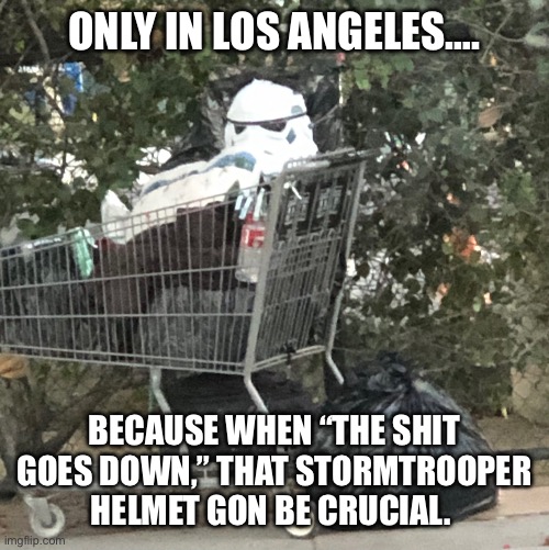 Stormtrooper Shopping Cart |  ONLY IN LOS ANGELES…. BECAUSE WHEN “THE SHIT GOES DOWN,” THAT STORMTROOPER HELMET GON BE CRUCIAL. | image tagged in stormtrooper,shopping cart,random | made w/ Imgflip meme maker