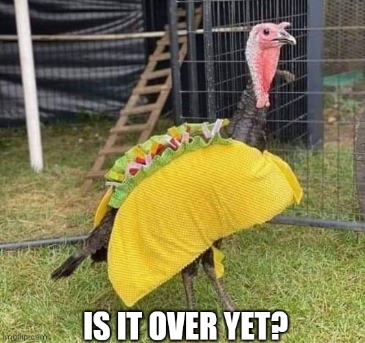 Turkey Taco |  IS IT OVER YET? | image tagged in thanksgiving,turkey | made w/ Imgflip meme maker