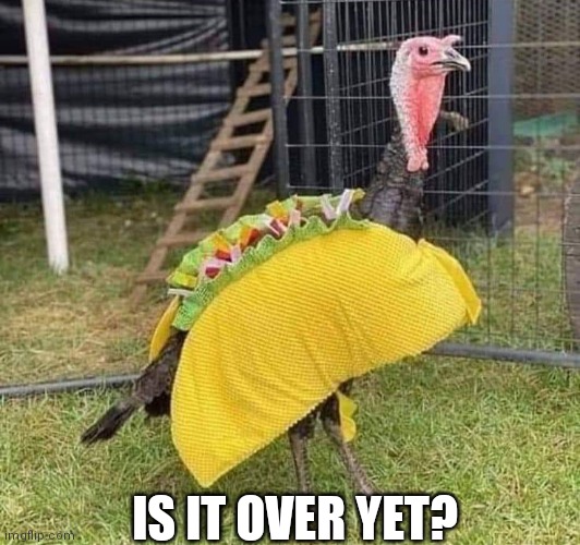 Turkey Taco | IS IT OVER YET? | image tagged in thanksgiving,turkey | made w/ Imgflip meme maker