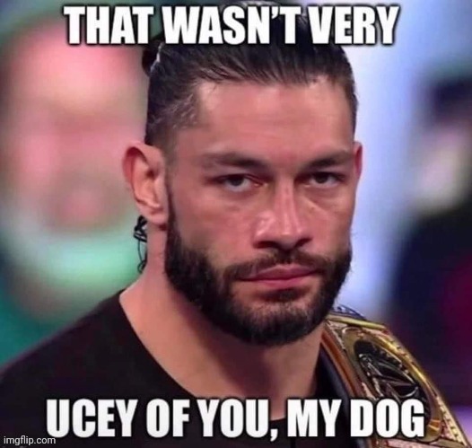Roman Reigns "Not Usey" | image tagged in roman reigns not usey | made w/ Imgflip meme maker
