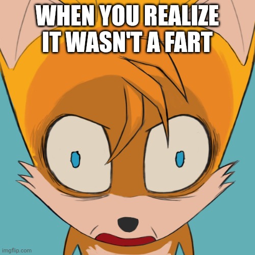 Tails got trolled | WHEN YOU REALIZE IT WASN'T A FART | image tagged in tails got trolled,fart | made w/ Imgflip meme maker