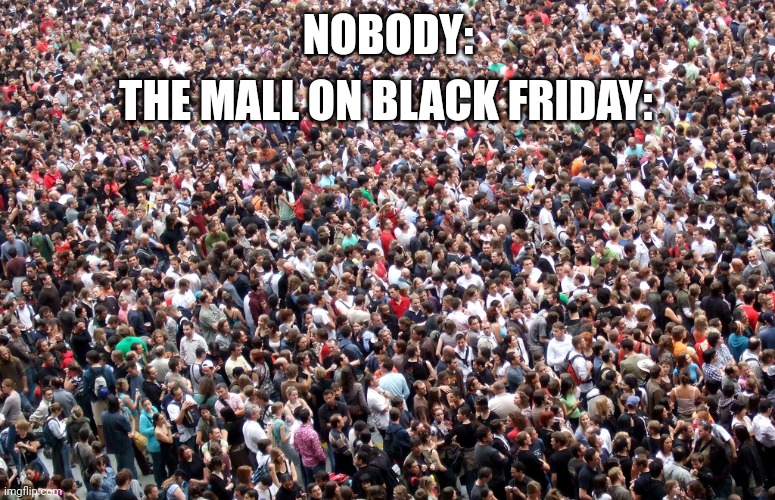 Crowds are one of my worst nightmares. | THE MALL ON BLACK FRIDAY:; NOBODY: | image tagged in crowd of people | made w/ Imgflip meme maker