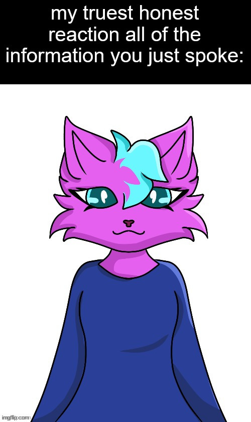 e | image tagged in my honest reaction but kitty | made w/ Imgflip meme maker