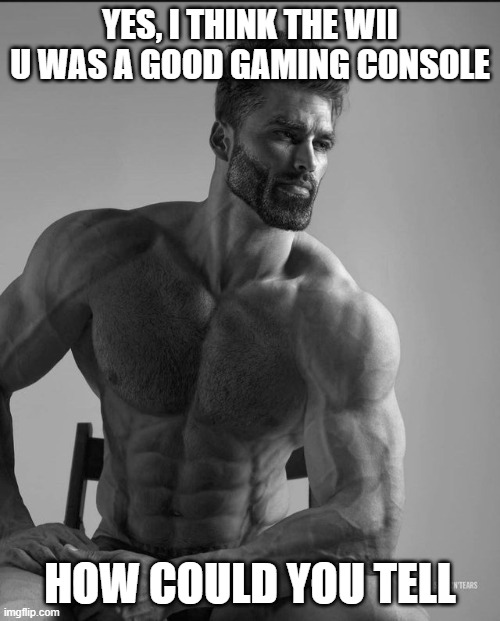 How could you tell | YES, I THINK THE WII U WAS A GOOD GAMING CONSOLE; HOW COULD YOU TELL | image tagged in how could you tell | made w/ Imgflip meme maker