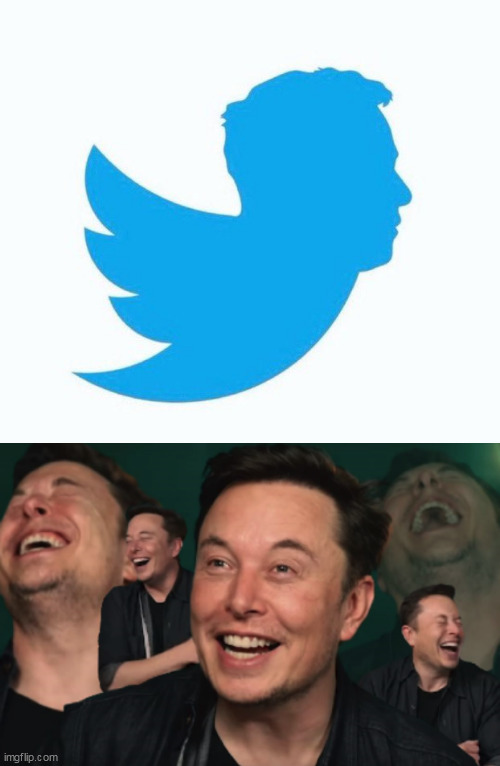 image tagged in elon,elon musk laughing | made w/ Imgflip meme maker