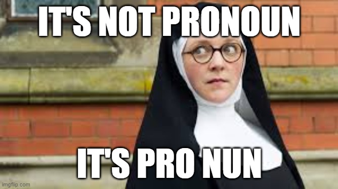 IT'S NOT PRONOUN; IT'S PRO NUN | made w/ Imgflip meme maker