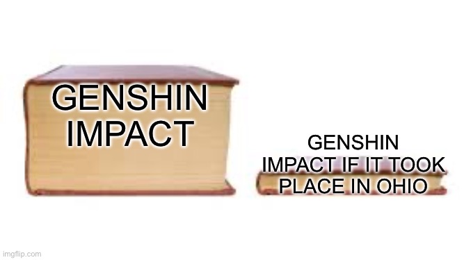 All the gods abandoned Ohio |  GENSHIN IMPACT; GENSHIN IMPACT IF IT TOOK PLACE IN OHIO | image tagged in big book small book,genshin impact | made w/ Imgflip meme maker