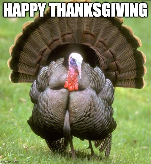 Happy Thanksgiving! :D | HAPPY THANKSGIVING | image tagged in memes,turkey,thanksgiving | made w/ Imgflip meme maker