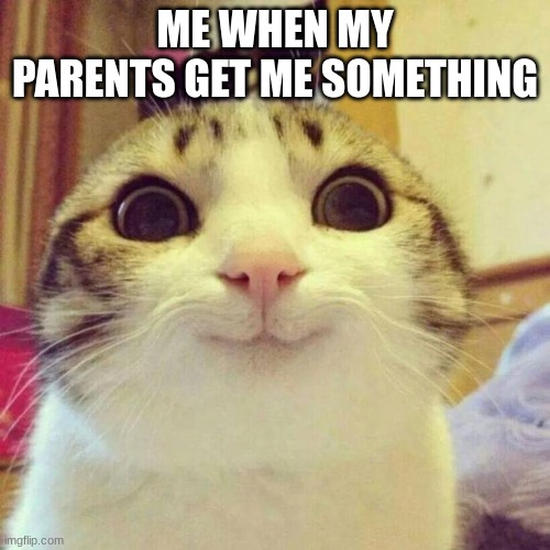ehgieuwgggggrygvuie | ME WHEN MY PARENTS GET ME SOMETHING | image tagged in memes,smiling cat | made w/ Imgflip meme maker
