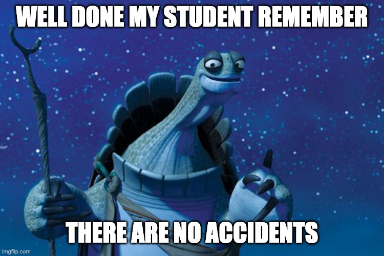 Master Oogway | WELL DONE MY STUDENT REMEMBER THERE ARE NO ACCIDENTS | image tagged in master oogway | made w/ Imgflip meme maker