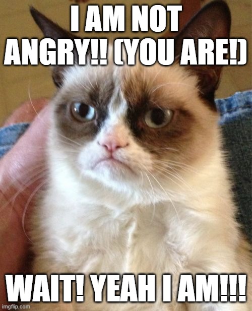 Grumpy Cat | I AM NOT ANGRY!! (YOU ARE!); WAIT! YEAH I AM!!! | image tagged in memes,grumpy cat | made w/ Imgflip meme maker