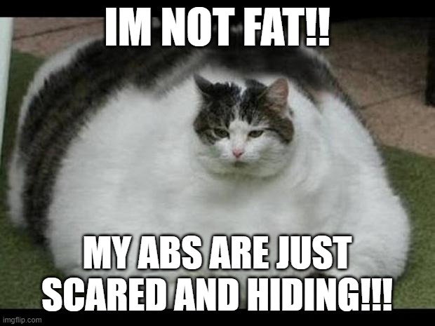 fat cat 2 | IM NOT FAT!! MY ABS ARE JUST SCARED AND HIDING!!! | image tagged in fat cat 2 | made w/ Imgflip meme maker