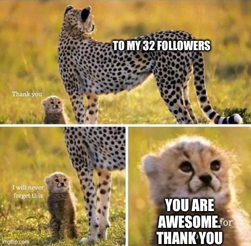 Thank you so much. I continue to make memes | TO MY 32 FOLLOWERS; YOU ARE AWESOME. THANK YOU | image tagged in i would fight for you | made w/ Imgflip meme maker