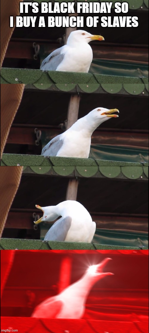 black friday | IT'S BLACK FRIDAY SO I BUY A BUNCH OF SLAVES | image tagged in memes,inhaling seagull,friday,black friday | made w/ Imgflip meme maker
