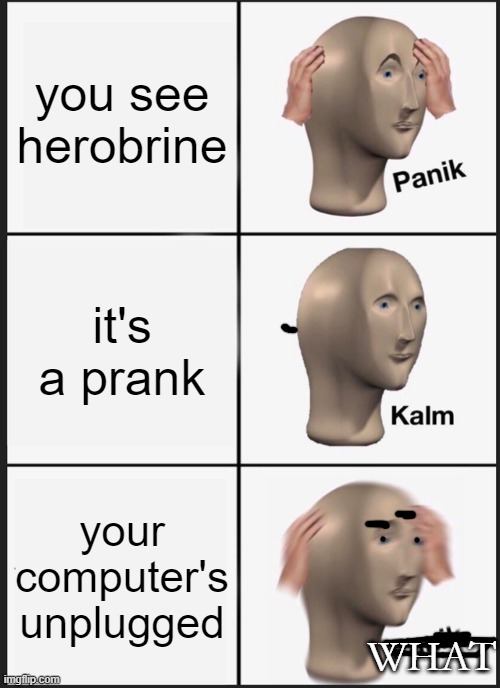 Panik Kalm What | you see herobrine; it's a prank; your computer's unplugged; WHAT | image tagged in memes | made w/ Imgflip meme maker