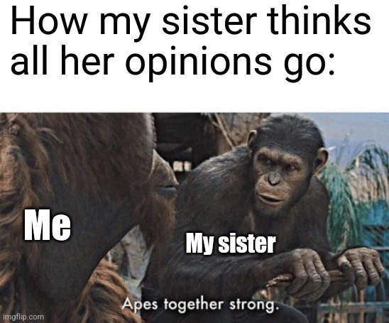 Apes together strong | How my sister thinks all her opinions go:; Me; My sister | image tagged in apes together strong | made w/ Imgflip meme maker