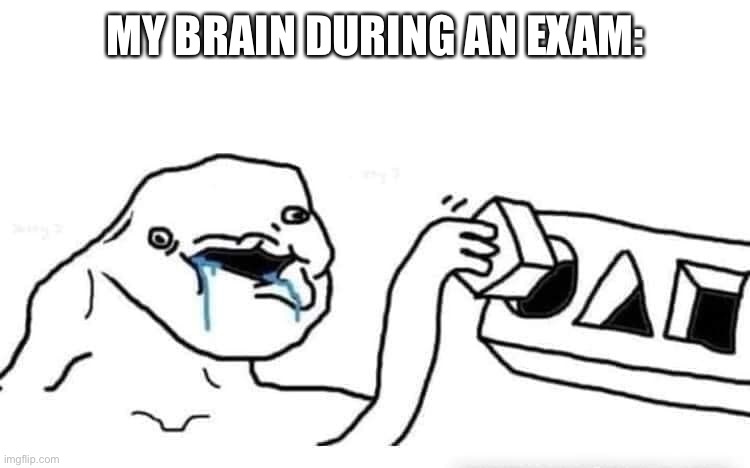 Stupid dumb drooling puzzle | MY BRAIN DURING AN EXAM: | image tagged in stupid dumb drooling puzzle,memes,funny,brain,exam,exams | made w/ Imgflip meme maker