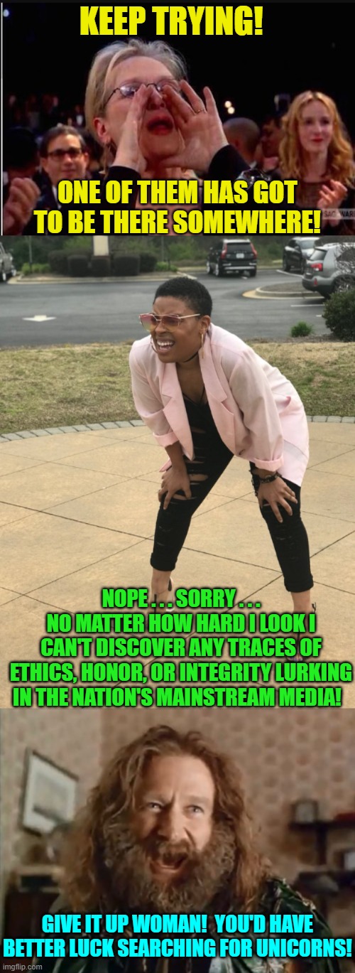 Sigh . . . to dream the impossible . . . dream. | KEEP TRYING! ONE OF THEM HAS GOT TO BE THERE SOMEWHERE! NOPE . . . SORRY . . . NO MATTER HOW HARD I LOOK I CAN'T DISCOVER ANY TRACES OF ETHICS, HONOR, OR INTEGRITY LURKING IN THE NATION'S MAINSTREAM MEDIA! GIVE IT UP WOMAN!  YOU'D HAVE BETTER LUCK SEARCHING FOR UNICORNS! | image tagged in truth | made w/ Imgflip meme maker