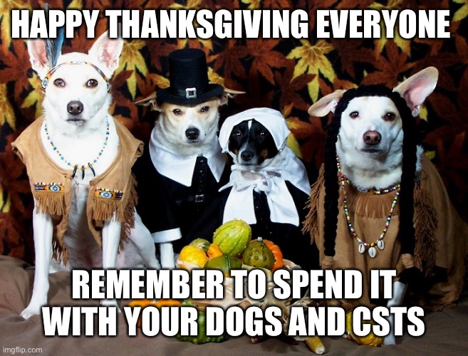 Happy Thanksgiving  |  HAPPY THANKSGIVING EVERYONE; REMEMBER TO SPEND IT WITH YOUR DOGS AND CATS | image tagged in happy thanksgiving | made w/ Imgflip meme maker