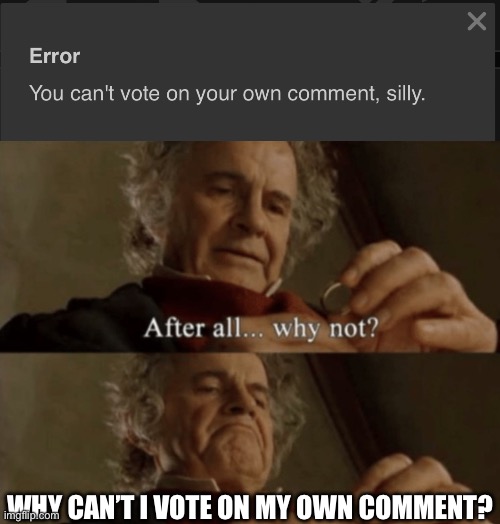 Image title | WHY CAN’T I VOTE ON MY OWN COMMENT? | image tagged in after all why not | made w/ Imgflip meme maker