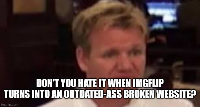 Gordon | DON'T YOU HATE IT WHEN IMGFLIP TURNS INTO AN OUTDATED-ASS BROKEN WEBSITE? | image tagged in gordon | made w/ Imgflip meme maker