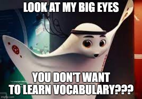 LOOK AT MY BIG EYES; YOU DON'T WANT TO LEARN VOCABULARY??? | made w/ Imgflip meme maker