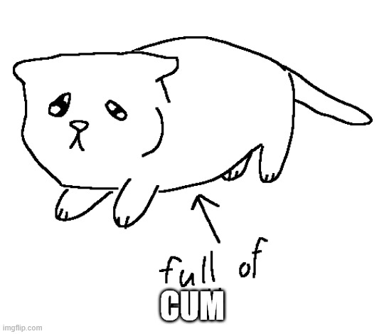 Full of coom | CUM | image tagged in full of milk cat | made w/ Imgflip meme maker