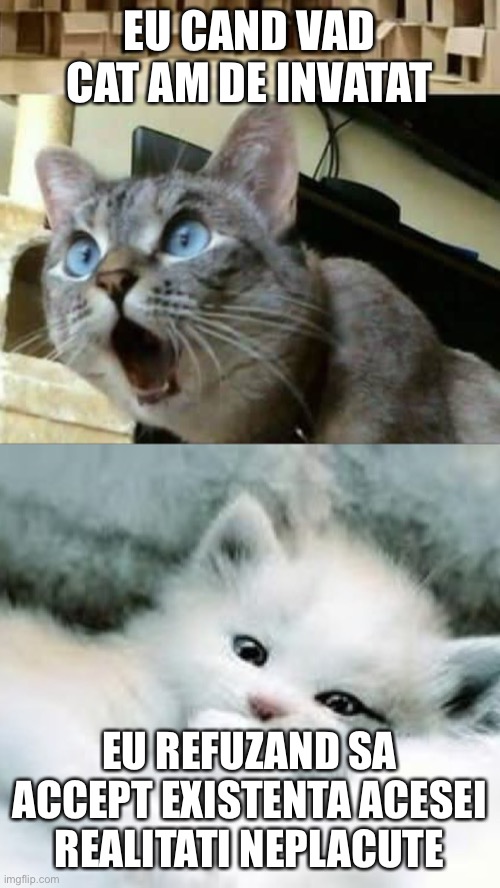 EU CAND VAD CAT AM DE INVATAT; EU REFUZAND SA ACCEPT EXISTENTA ACESEI REALITATI NEPLACUTE | made w/ Imgflip meme maker
