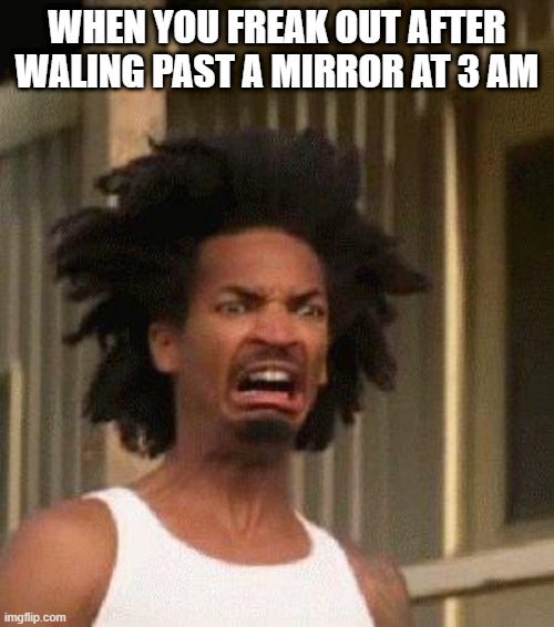 *ATTACK MODE COMMENCES* | WHEN YOU FREAK OUT AFTER WALING PAST A MIRROR AT 3 AM | image tagged in disgusted face,sleep,scary,relatable | made w/ Imgflip meme maker