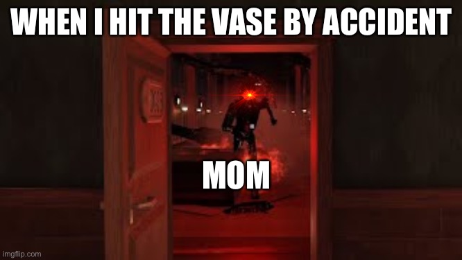 fax | WHEN I HIT THE VASE BY ACCIDENT; MOM | image tagged in seek chase | made w/ Imgflip meme maker