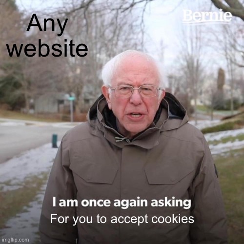 Cookies | Any website; For you to accept cookies | image tagged in memes,bernie i am once again asking for your support | made w/ Imgflip meme maker