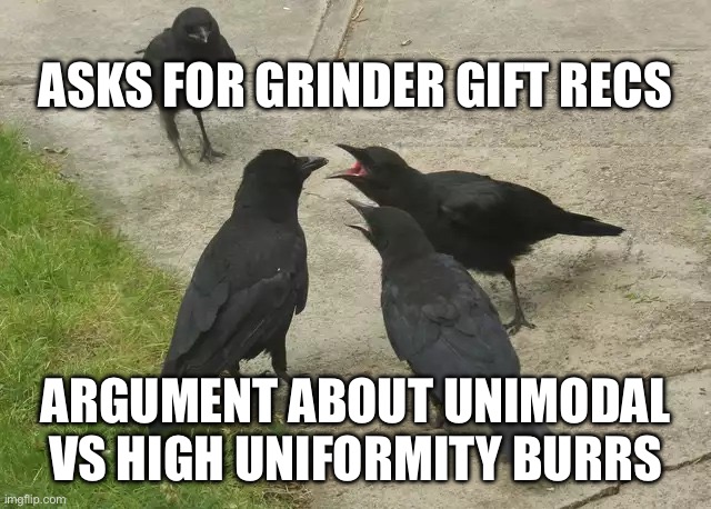 I just wanted to know the time | ASKS FOR GRINDER GIFT RECS; ARGUMENT ABOUT UNIMODAL VS HIGH UNIFORMITY BURRS | image tagged in i just wanted to know the time | made w/ Imgflip meme maker