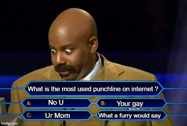 Clever conversation | What is the most used punchline on internet ? No U; Your gay; What a furry would say; Ur Mom | image tagged in who wants to be a millionaire,internet,welcome to the internets,memes,normal conversation,funny | made w/ Imgflip meme maker