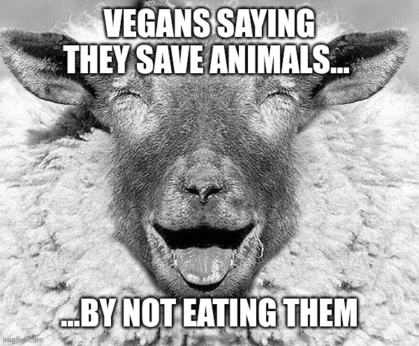 LOL Sheep | VEGANS SAYING THEY SAVE ANIMALS... ...BY NOT EATING THEM | image tagged in lol sheep | made w/ Imgflip meme maker