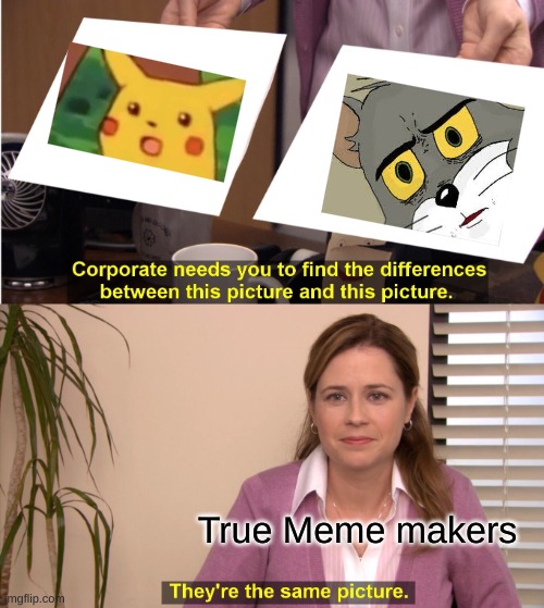 They're The Same Picture | True Meme makers | image tagged in memes,they're the same picture | made w/ Imgflip meme maker