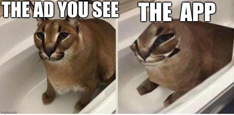The ad vs the app |  THE AD YOU SEE; THE  APP | image tagged in funny cat memes | made w/ Imgflip meme maker