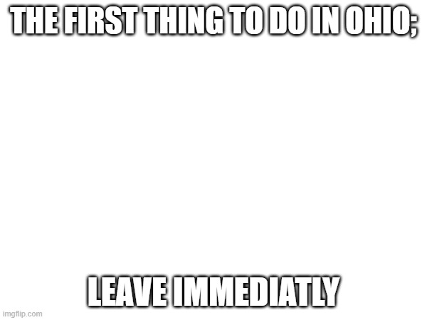 THE FIRST THING TO DO IN OHIO;; LEAVE IMMEDIATLY | image tagged in ohio | made w/ Imgflip meme maker