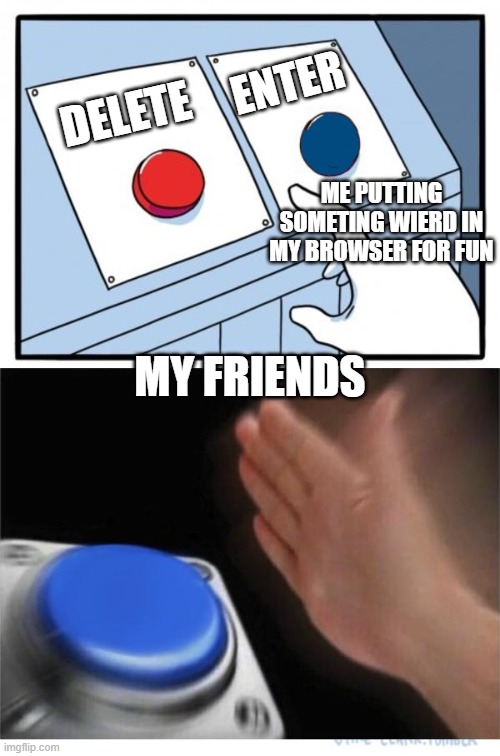 I hate my friens | ENTER; DELETE; ME PUTTING SOMETING WIERD IN MY BROWSER FOR FUN; MY FRIENDS | image tagged in two buttons 1 blue | made w/ Imgflip meme maker