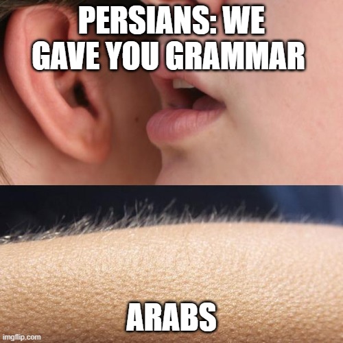 we gave you grammar | PERSIANS: WE GAVE YOU GRAMMAR; ARABS | image tagged in whisper and goosebumps,iran,persia,arabs,grammar,persians | made w/ Imgflip meme maker