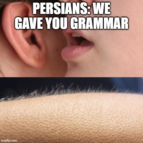 we gave you grammar | PERSIANS: WE GAVE YOU GRAMMAR | image tagged in whisper and goosebumps | made w/ Imgflip meme maker