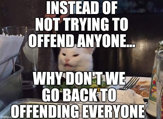 INSTEAD OF NOT TRYING TO OFFEND ANYONE... WHY DON'T WE GO BACK TO OFFENDING EVERYONE | image tagged in smudge the cat | made w/ Imgflip meme maker